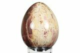 Colorful, Polished Petrified Wood Egg - Madagascar #245374-1